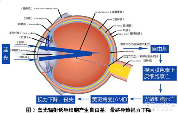 為什么我的眼里常含淚水？原來都是被LED燈給閃的